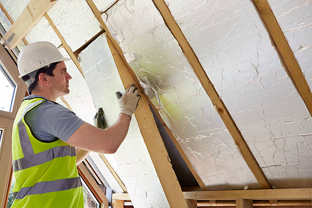 Best Insulation Maintenance and Repair in Clarcona, FL