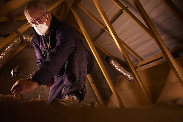 Best Insulation Maintenance and Repair in Clarcona, FL